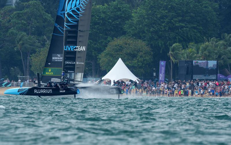 New Zealand SailGP Team race past the SailGP Beach Club and Fan Village on Race Day 2 of the Singapore Sail Grand Prix presented by the Singapore Tourism Board in Singapore photo copyright Eloi Stichelbaut/SailGP. taken at  and featuring the F50 class