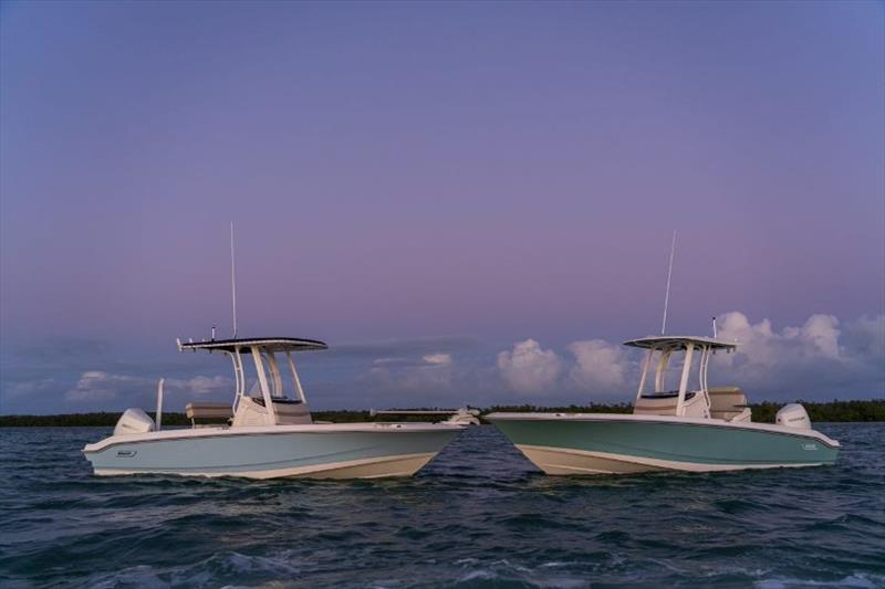 Boston Whaler Dauntless launch photo copyright Boston Whaler taken at  and featuring the Fishing boat class