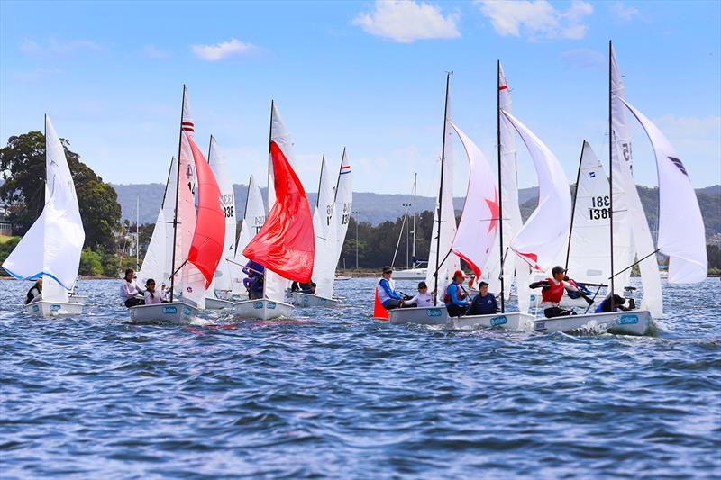 2022 Allen Flying 11 Australian Championships photo copyright Mark Rothfield taken at Gosford Sailing Club and featuring the Flying 11 class