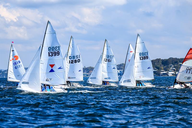 Div 4 Close racing in the F11 fleet on Zhik Combined High Schools (CHS) Sailing Championships Day 1 photo copyright Red Hot Shotz Sports Photography / Chris Munro taken at Belmont 16ft Sailing Club and featuring the Flying 11 class