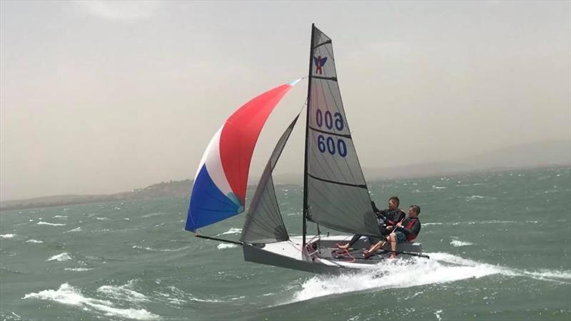 The Flying Ant has been re-launched in New Zealand as a one design sail away class photo copyright Adam Beashel taken at Murrays Bay Sailing Club and featuring the Flying Ant class