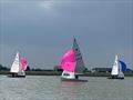 Close spinnaker reaches during the GP14 Southern Travellers event at Maylandsea Bay © Maylandsea Bay SC