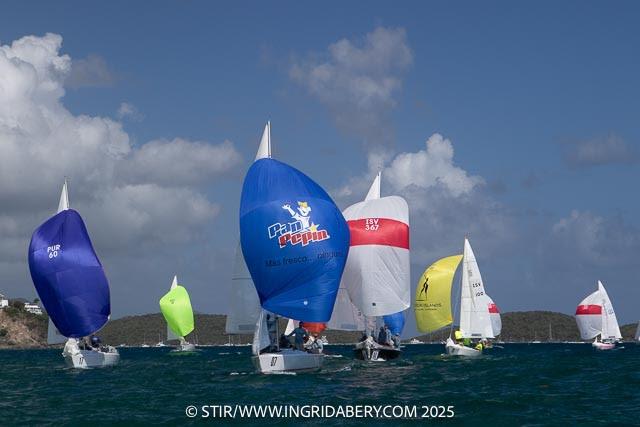 51st St. Thomas International Regatta Day 1: Tight racing in the IC24 class - photo © STIR / www.ingridabery.com