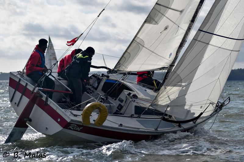 Riot during HYS Hamble Winter Series Race Week 4 photo copyright Bertrand Malas taken at Hamble River Sailing Club and featuring the IRC class