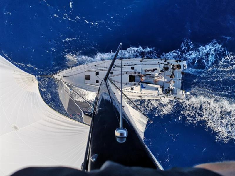 Atop the mast - bluewater racing on board Pata Negra where the crew are enjoying blasting through the Atlantic swell - RORC Transatlantic Race day 11 photo copyright Pata Negra taken at Royal Ocean Racing Club and featuring the IRC class