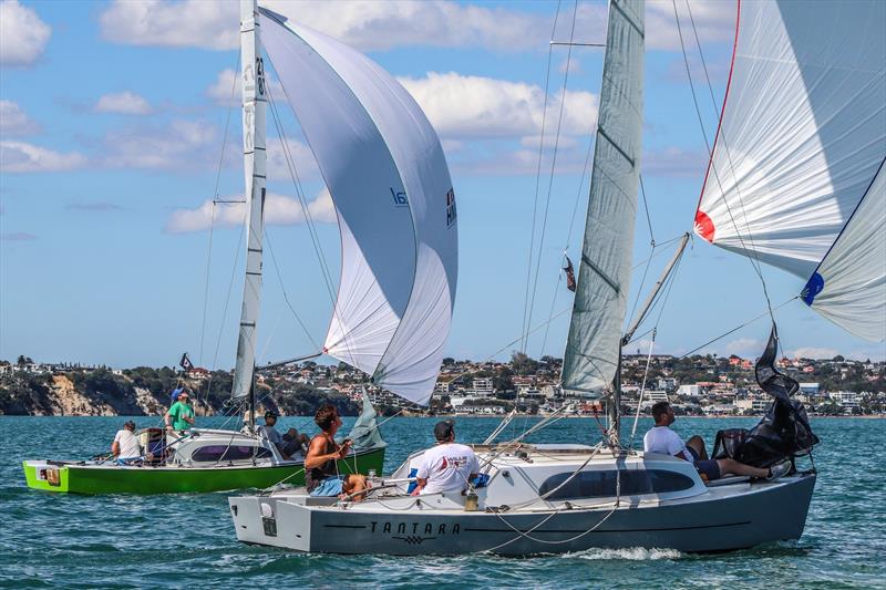 Auckland Regatta - Day 1 - Royal NZ Yacht Squadron - March 14, 2020 - Waitemata Harbour photo copyright Andrew Delves taken at Royal New Zealand Yacht Squadron and featuring the IRC class