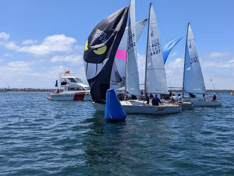 Australian J/24 Nationals - photo © J24 Victoria