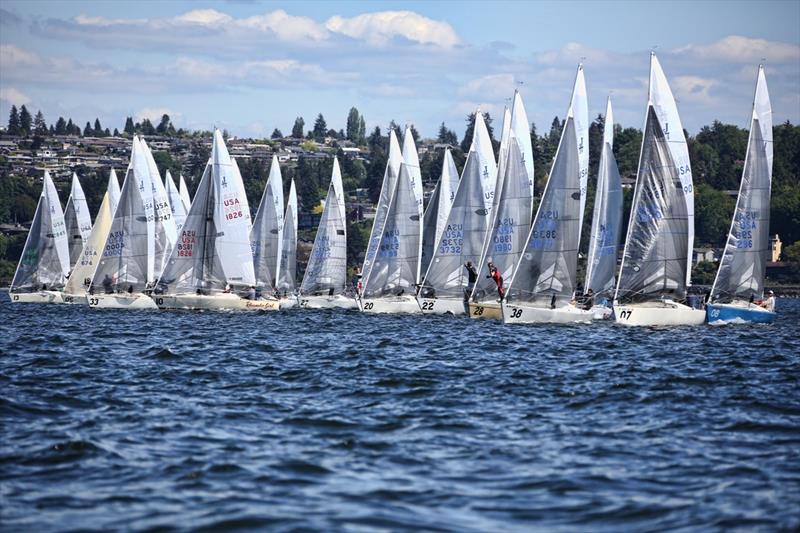 Seattle J/24s racing photo copyright Jan Anderson taken at Corinthian Yacht Club of Seattle and featuring the J/24 class