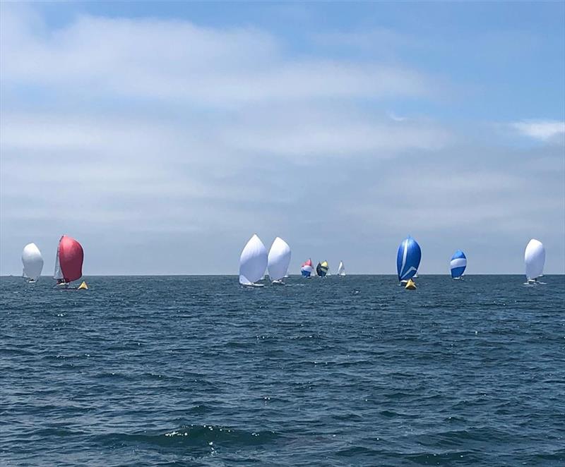 2019 Fiesta Cup at Santa Barbara Yacht Club photo copyright SBYC Racing taken at Santa Barbara Yacht Club and featuring the J70 class