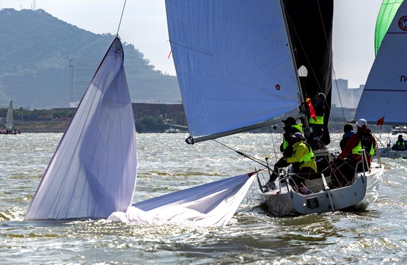 2023 World Bay Area Regatta  photo copyright Guy Nowell taken at  and featuring the J/88 class