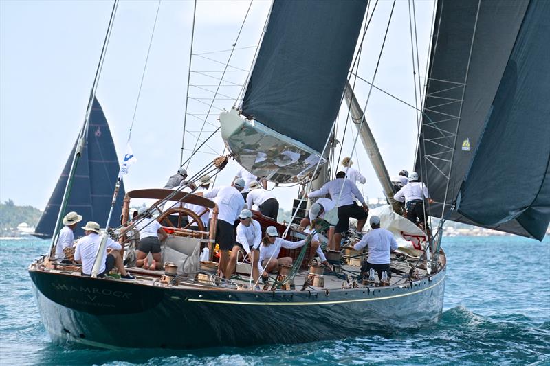Shamrock V the 1937 Challenger for the America's Cup carries a full suit of Doyle Sails - J- Class Regatta 35th America's Cup Bermuda, June 19 , 2017  photo copyright Richard Gladwell taken at Royal Bermuda Yacht Club and featuring the J Class class
