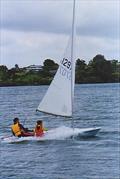 Hayden Goodrick (age 8) sailing on a Laser - Lake Pupuke