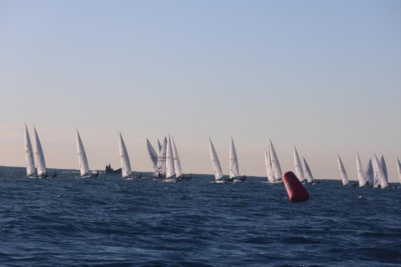 2021 ILCA 7 World Championships photo copyright International Laser Class Association taken at Real Club Nautico de Barcelona and featuring the ILCA 7 class