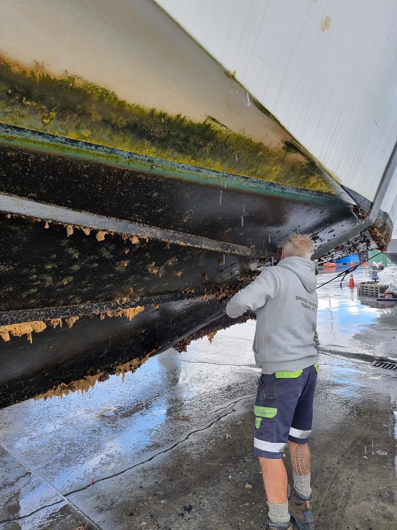 A boat in need of a clean, at Tauranga Bridge Travelift photo copyright Marine Biosecurity NZ taken at  and featuring the  class