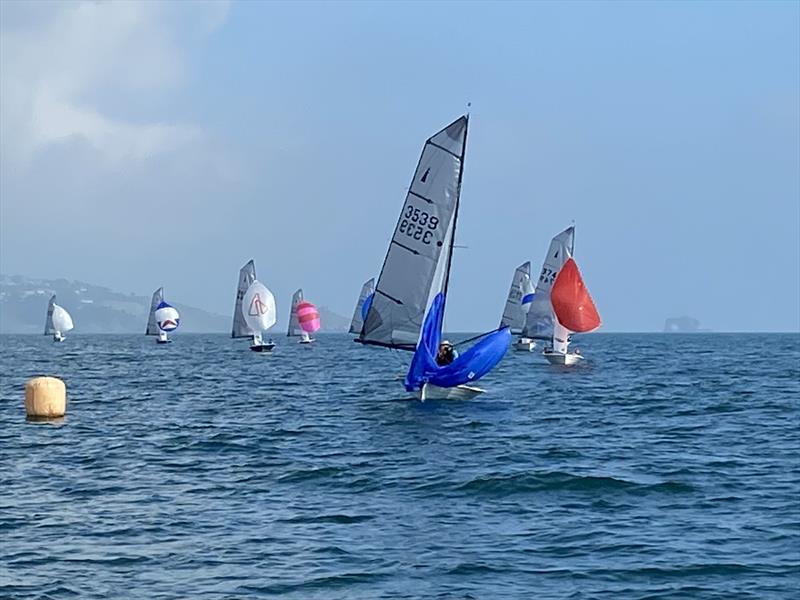 Merlin Rocket Craftinsure Silver Tiller Series at Paignton photo copyright Andy Probert  taken at Paignton Sailing Club and featuring the Merlin Rocket class