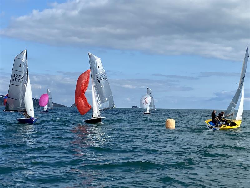 Merlin Rocket Craftinsure Silver Tiller Series at Paignton photo copyright Andy Probert  taken at Paignton Sailing Club and featuring the Merlin Rocket class