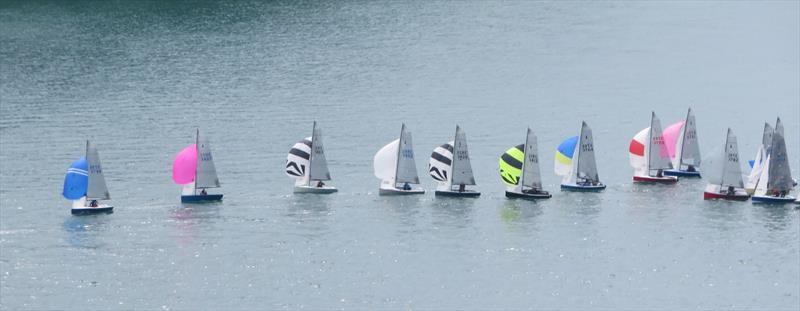 Merlin Rocket South West Series at Salcombe photo copyright Malcolm Mackley taken at Salcombe Yacht Club and featuring the Merlin Rocket class