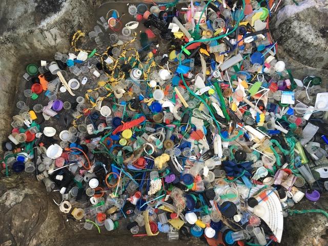 The amount of plastic Gael collected on a small section of Witterings Beach - photo © Gael Pawson