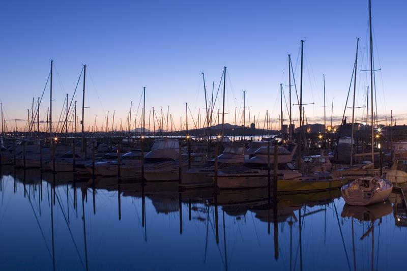 Westhaven Marina, Auckland, New Zealand photo copyright Marinepests.nz taken at 