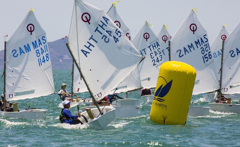 Top of the Gulf Regatta 2019. Optimist fleet. - photo © Guy Nowell / Top of the Gulf Regatta