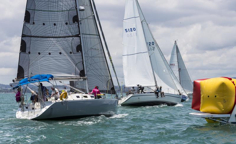 Top of the Gulf Regatta 2019. Twilight Sparkle photo copyright Guy Nowell / Top of the Gulf Regatta taken at Ocean Marina Yacht Club