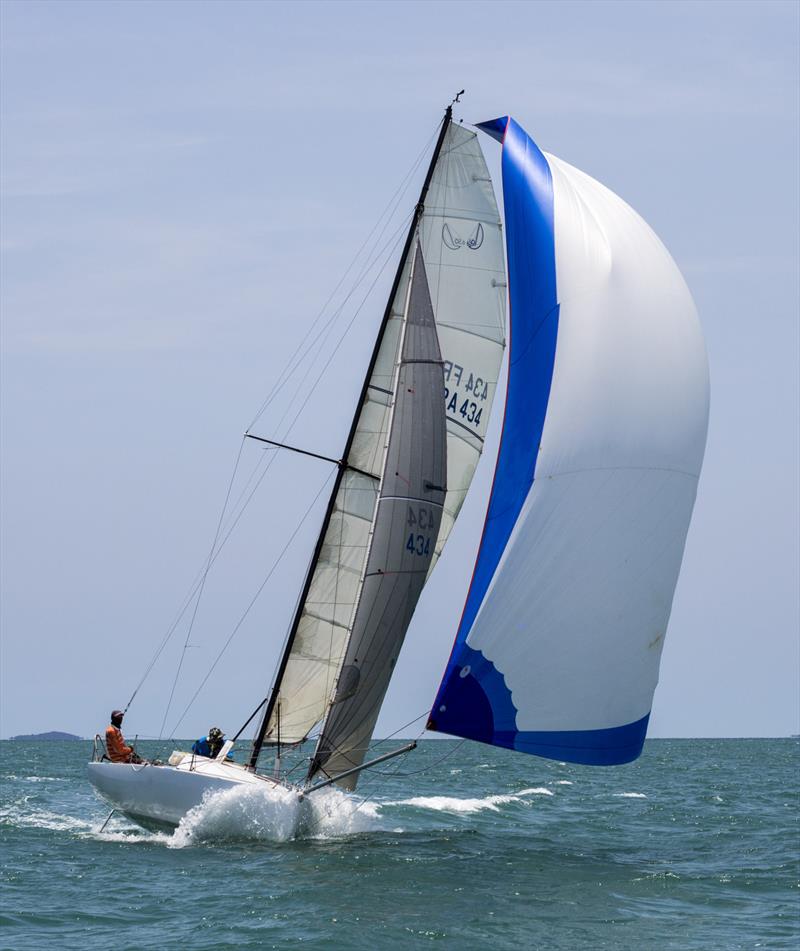 Top of the Gulf Regatta 2019. Ink Zone. - photo © Guy Nowell / Top of the Gulf Regatta