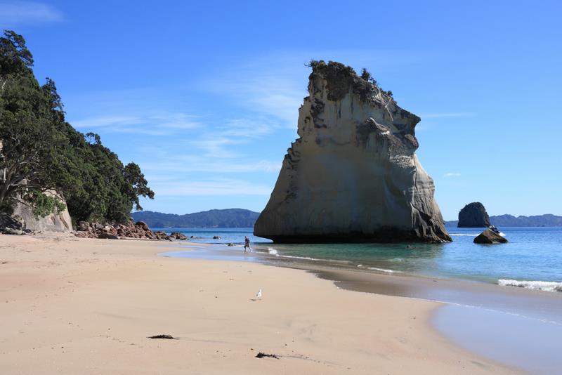 Pristine coastline - Cathedral Cove beach at Coromandel Peninsula. New Zealand, North Island photo copyright Auckland Council taken at 