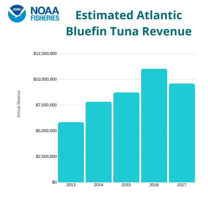 Estimated Atlantic Bluefin Tuna Revenue photo copyright NOAA Fisheries taken at 