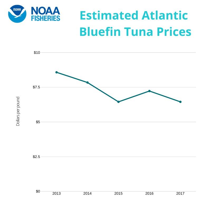 Estimated Atlantic Bluefin Tuna Prices photo copyright NOAA Fisheries taken at 
