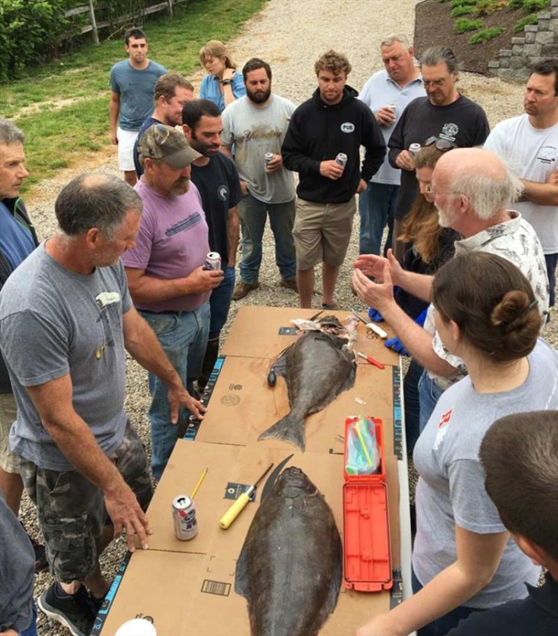 Collaboration between fishermen and scientists included a discussion about collecting biological data from halibut and how to record the information for the study. They also practiced tagging a fresh halibut photo copyright Chris McGuire taken at 