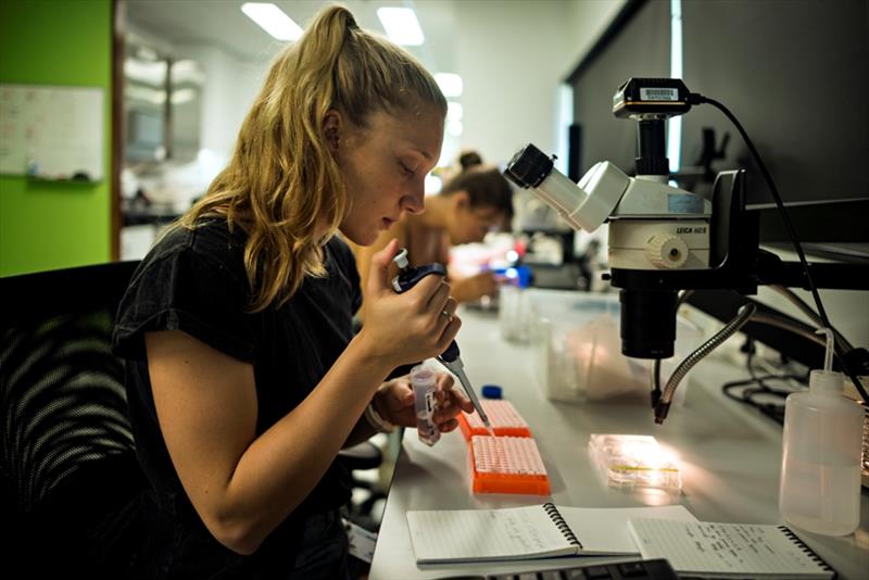 Annika Lamb photo copyright Australian Institute of Marine Science taken at 