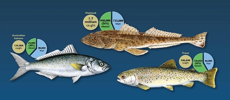 Top 3 recreational finfish caught in Tasmania during the 2017-2018 survey period, flathead, Australian salmon and trout photo copyright DPIPWE Fishing taken at 