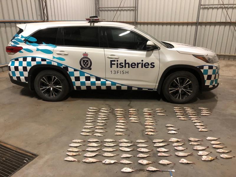 Two cars and illegal hauls of 119 undersize snapper were seized by Fisheries Officers photo copyright Victorian Fisheries Authority taken at 