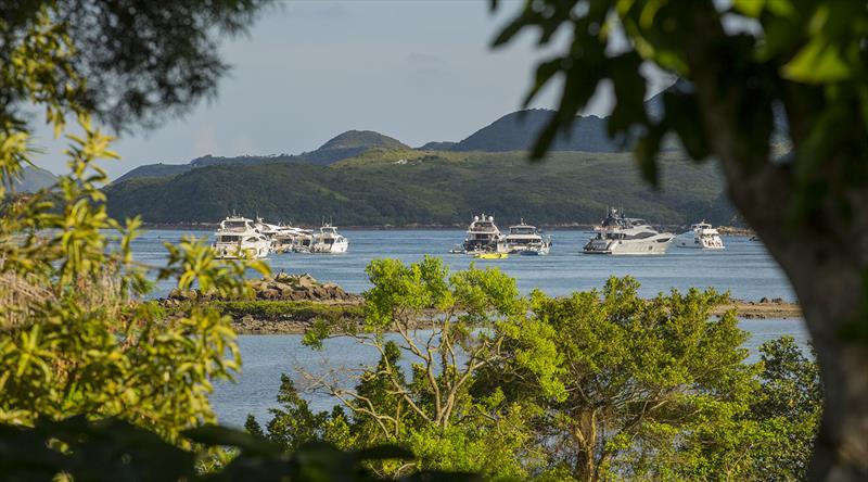 `More people are using boats, more` - photo © Guy Nowell