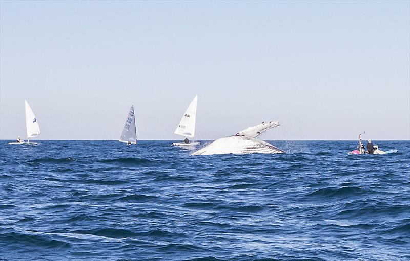 What goes up photo copyright John Curnow taken at Coffs Harbour Yacht Club