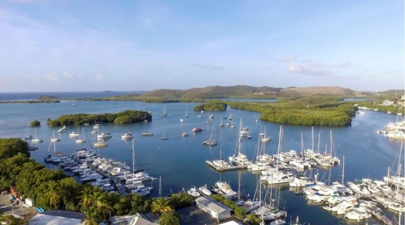 Dream Yacht Charter - photo © Antigua Sailing Week