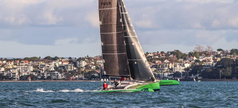 Timberwolf back racing on the Waitemata photo copyright Andrew Delves taken at Royal New Zealand Yacht Squadron
