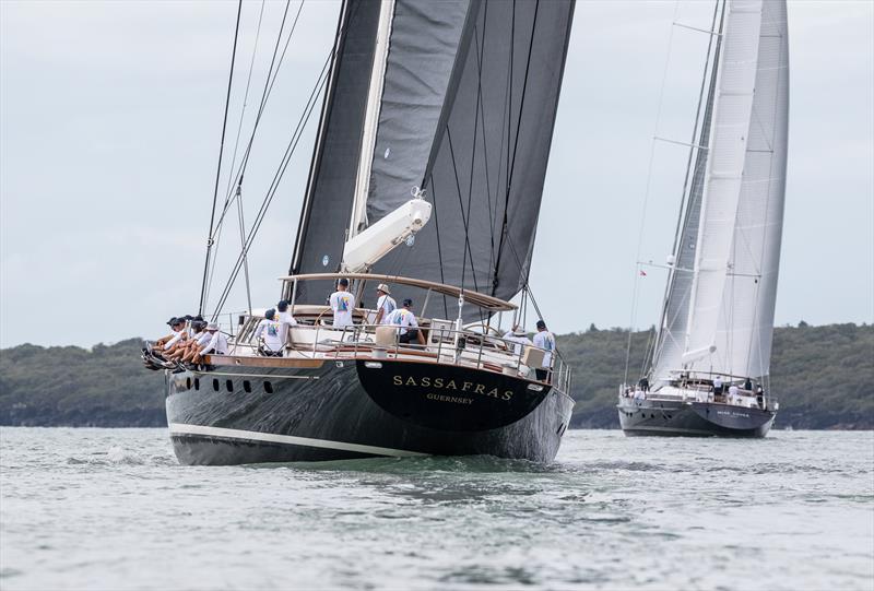 Sassafras sailing in light airs on Day 2 of the Mastercard Superyacht Regatta - photo © Jeff Brown BREED Media