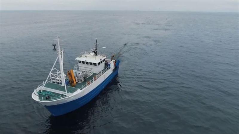 The IGMR - Beyond Tracking Billfish photo copyright IGFA taken at 