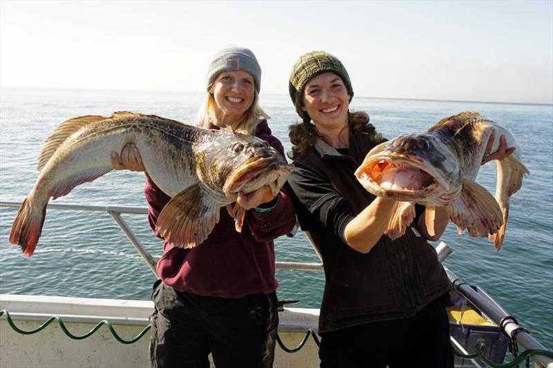 Anglers holding lingcod photo copyright T. Mautner taken at 