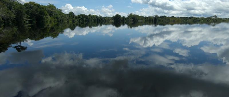 The floating forest on the Rio Negro caused by the high river water in the wet season - from Garden of Evil - photo © Mediawave