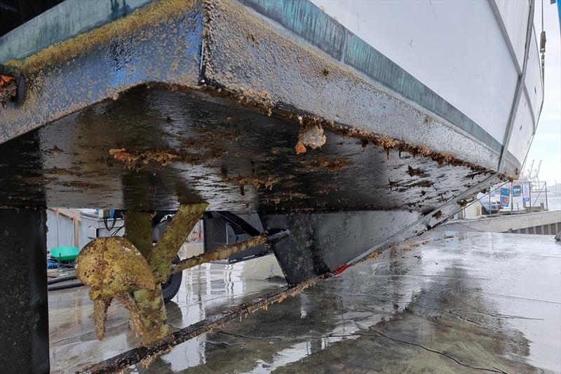 Biofouling can accumulate quickly and reduce fuel efficiency and speed. - photo © Bridge Marina Travelift  