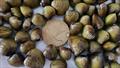 New controls to protect Lake Okataina from clams