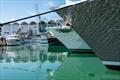Opening day - Auckland Boat Show - March 23, 2023