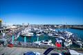 Part of the 1.3kms of floating exhibits at the 2025 Auckland Boat Show