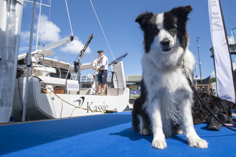 Auckland Boat Show - Day 3 - Viaduct Event Centre - Jellicoe Harbour - Auckland - March 16-, 2024 photo copyright Chris Cameron taken at Royal New Zealand Yacht Squadron and featuring the  class