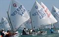 OptiOrange international Optimist class regatta, final day © Pep Portas / RCNV