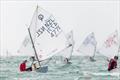 William Mason - Day 4 - 2023 Toyota Optimist NZ Nationals - Wakatere BC - April 10, 2023 © Adam Mustill