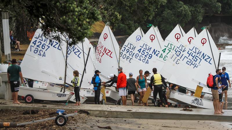 Wakatere BC - Optimist and Starling Auckland - Day 2 - February 6, 2022, - photo © Richard Gladwell - Sail-World.com/nz