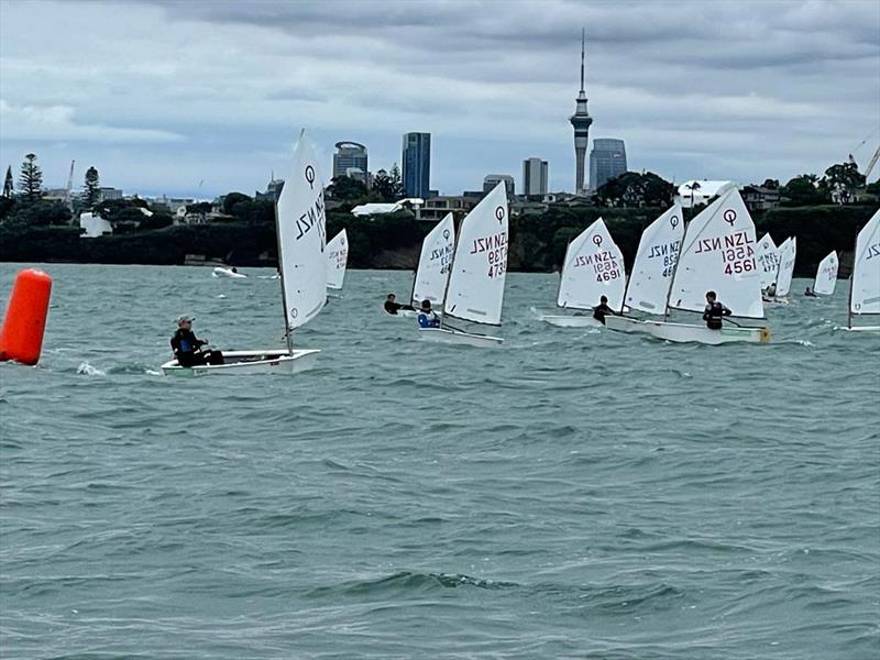 Auckland Optimist and Starling Championships, February 7, 2022 - Wakatere BC - photo © Wakatere BC Media